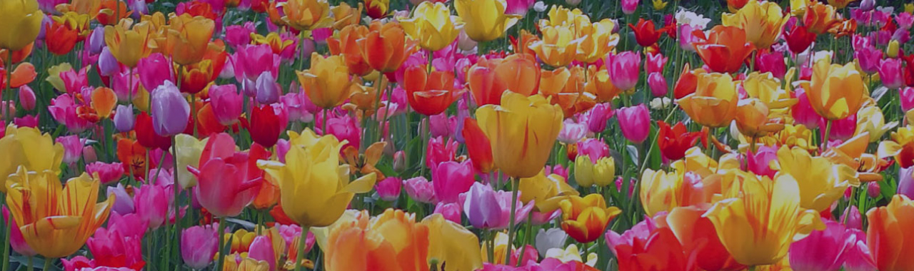 Industry Leaders in Supply